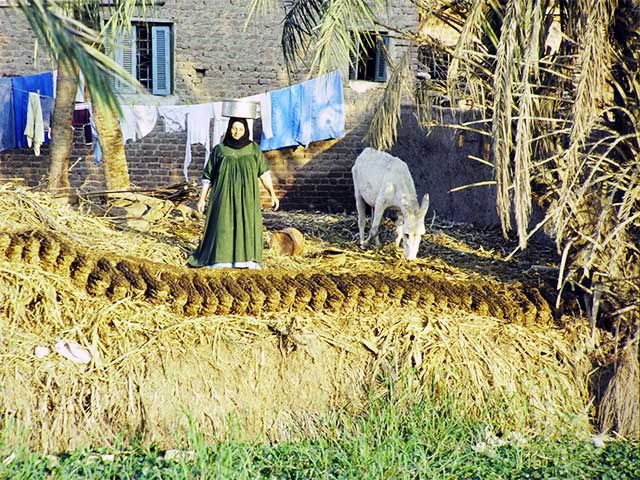 egypt