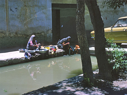 iran