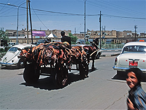 iraq