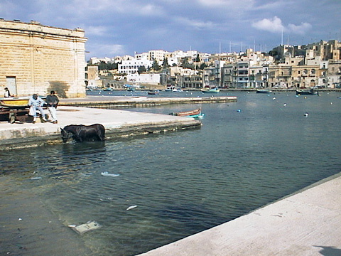 malta
