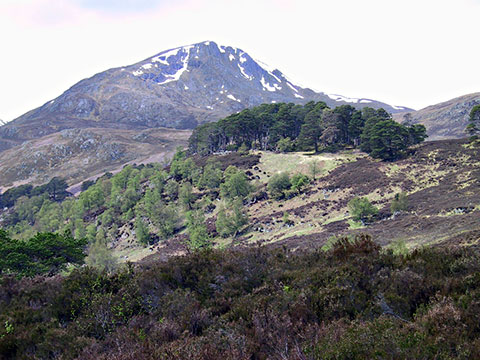 scotland