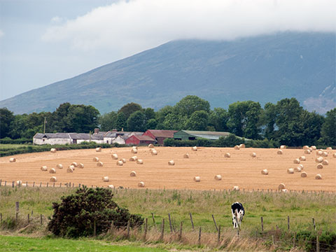 scotland