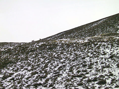 scotland