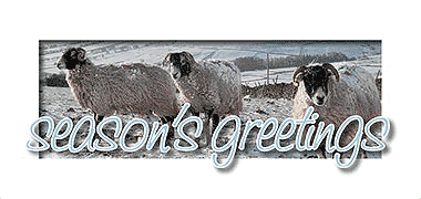 A selection of horizontal birthday cards