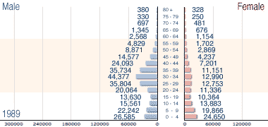 Male – female population tree for 1989