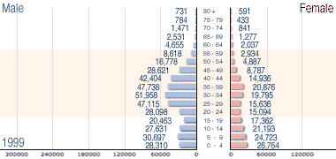 Male – female population tree for 1999