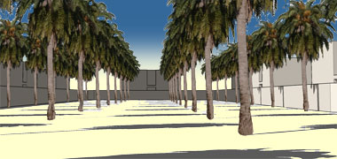 View from inside the basic layout of a SSHP theoretical cluster with date palm trees