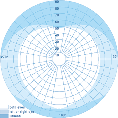Diagram of the field of vision of the human eye from Nasa&rsquo;s Bioastronautics Data Book Chapter 17 – Vision