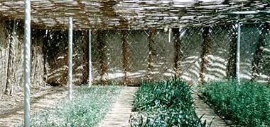 &rsquo;arish used on a farm as screen walling