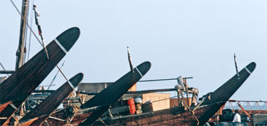 The prows of a row of traditional boom country craft in the old jetty