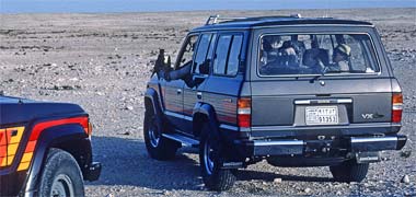 The benefit of vehicles used in falconry