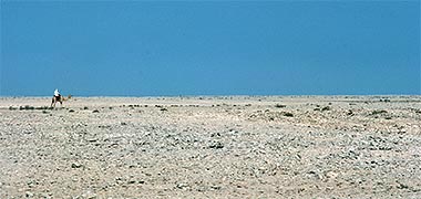 A badawi riding in the desert, 1972