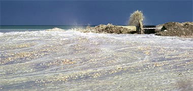 The 'W.D. Enterprise' working in the West Bay