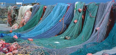 Fishing nets drying