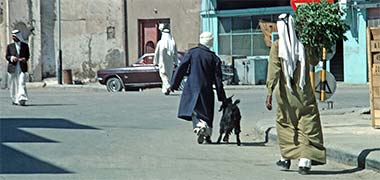 A goat being led to a Qatari&rsquo;s home, the new owner carrying the jet, 1972