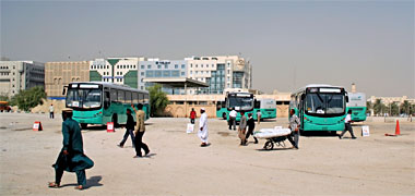 Green buses