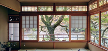 A yokimi shoji screen displaying a tree – with permission from Hoshino Resorts and the Hoshinoya hotel, Kyoto