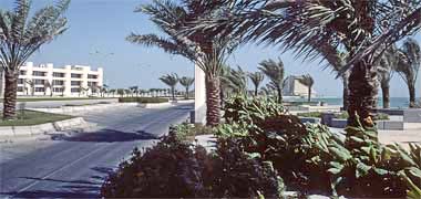 A view of planting on the Corniche in the New District of Doha