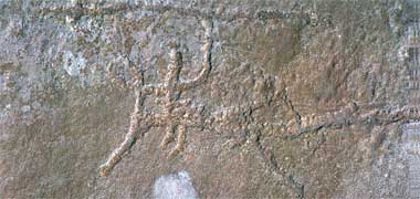 A petroglyph carving of a mounted and armed rider on an outcrop just north of Doha