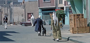 A porter helping a customer with a goat, March 1972