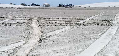 Tracks across sabkha near the south of the peninsula