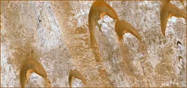 Classic barkan sand dunes