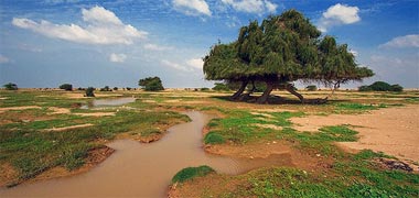 Winter rains in the north of the peninsula