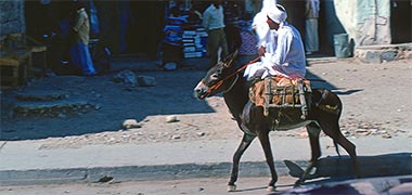 A donkey being ridden through the suq in 1972