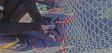 Fixing the base to the trap