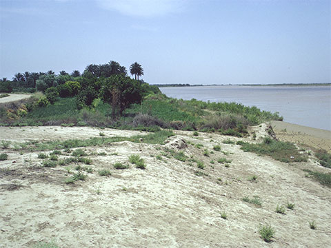 iraq