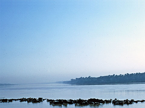 iraq